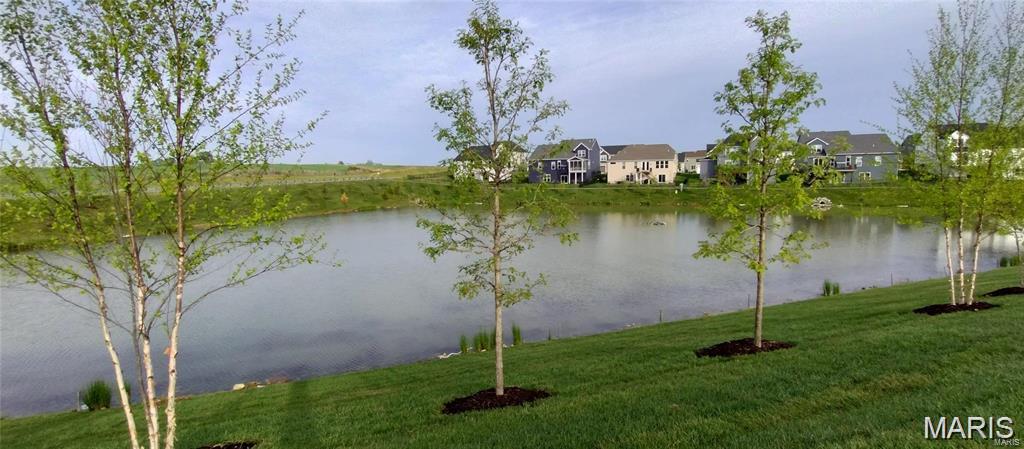 Streets Of Caledonia #7 - Residential Lease