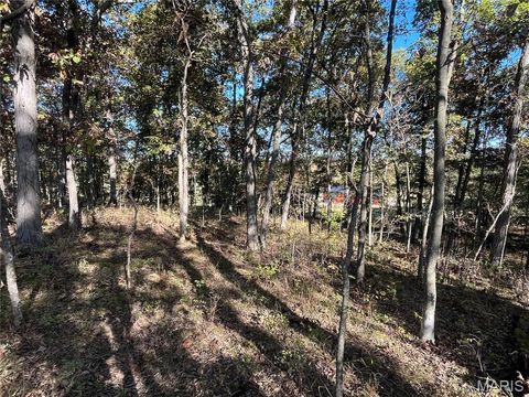 Tiny photo for 70 Summers Drive, Hawk Point, MO 63349 (MLS # 25069773)