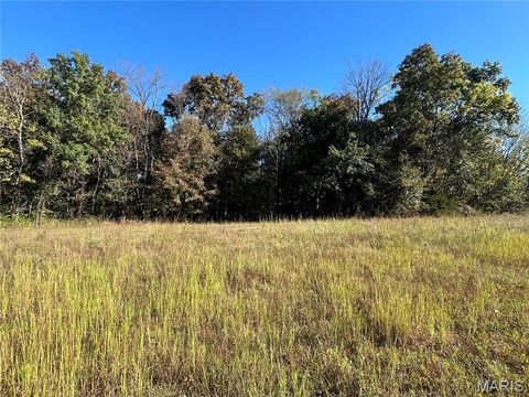 Tiny photo for 70 Summers Drive, Hawk Point, MO 63349 (MLS # 25069773)