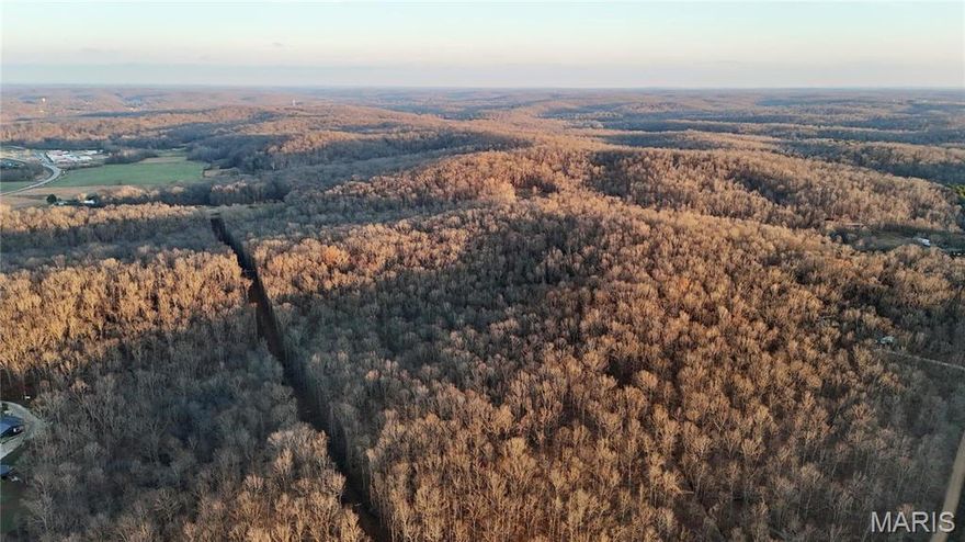 39.28+/- acres located just outside of Glen Allen, MO. This phenomenal hunting tract can be accessed by Highway 34 AND County Road 500. This farm features beautiful creek frontage, and consists primarily of gently rolling timber ridges. Deer and turkey sign is abundant, and there are several locations that would make an excellent spot for a food plot. Additionally, this farm has the potential to be a great investment for the future, as the timber species composition is made up largely of white oaks. 

- 5 minutes from Marble Hill
- 30 minutes to Jackson
- 40 minutes to Cape Girardeau

Don't miss out on this awesome tract, for a private showing call today!