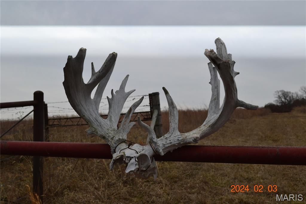 Photo of 0 Frankfort Dr, Long Lane, MO 65590 (MLS # 26013619)