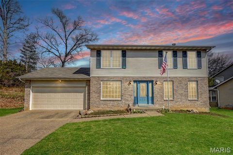 4002 Treeshadow Drive St Peters MO 63376