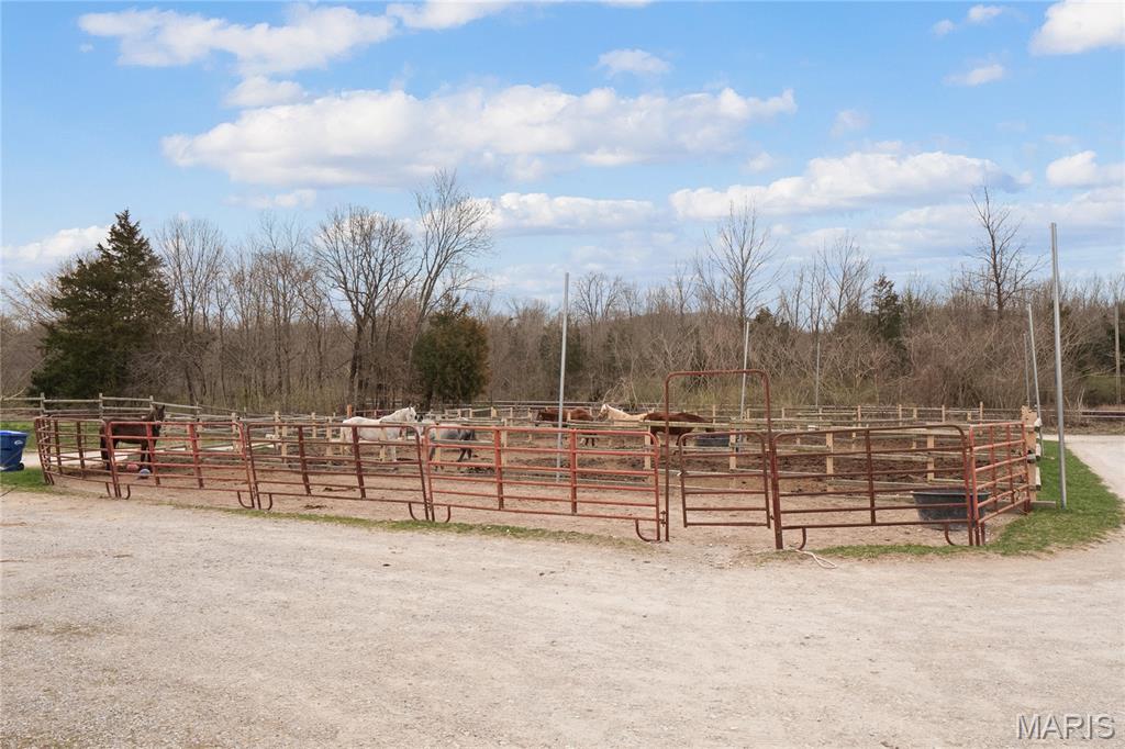 Lewis Estates - Farm