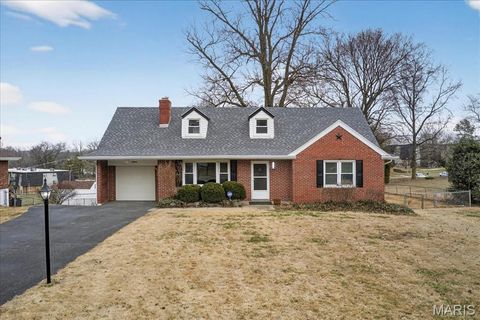 Photo of 10040 Knollcrest Drive, St Louis, MO 63136 (MLS # 26009390)