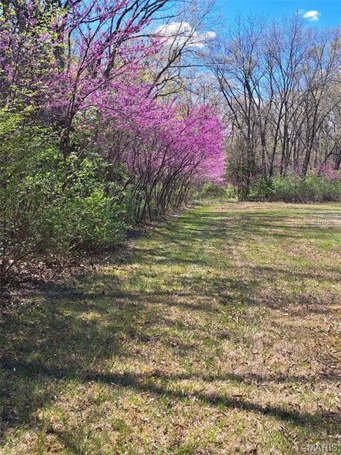 Tiny photo for 127 Mar Pat Drive, Wentzville, MO 63385 (MLS # 26017115)