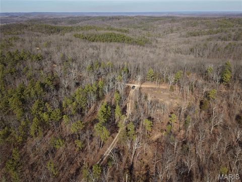 Tiny photo for 000 Bidwell Creek Road, Womack, MO 63645 (MLS # 26018697)
