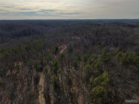 Tiny photo for 000 Bidwell Creek Road, Womack, MO 63645 (MLS # 26018697)