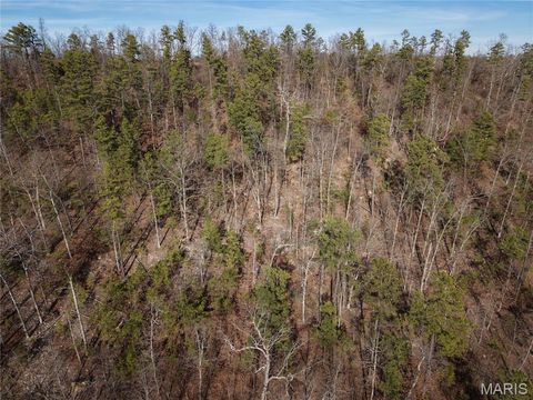 Tiny photo for 000 Bidwell Creek Road, Womack, MO 63645 (MLS # 26018697)
