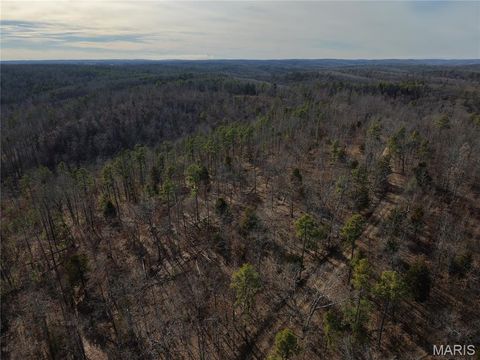 Tiny photo for 000 Bidwell Creek Road, Womack, MO 63645 (MLS # 26018697)