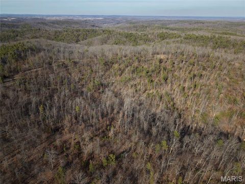 Tiny photo for 000 Bidwell Creek Road, Womack, MO 63645 (MLS # 26018697)