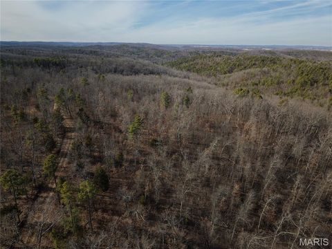 Tiny photo for 000 Bidwell Creek Road, Womack, MO 63645 (MLS # 26018697)