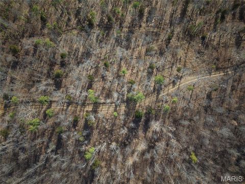 Tiny photo for 000 Bidwell Creek Road, Womack, MO 63645 (MLS # 26018697)