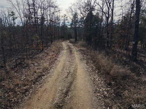 Tiny photo for 000 Bidwell Creek Road, Womack, MO 63645 (MLS # 26018697)