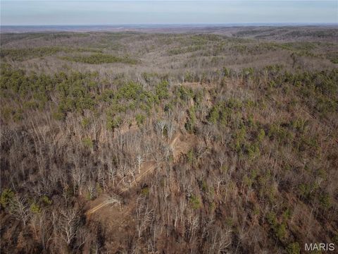 Tiny photo for 000 Bidwell Creek Road, Womack, MO 63645 (MLS # 26018697)