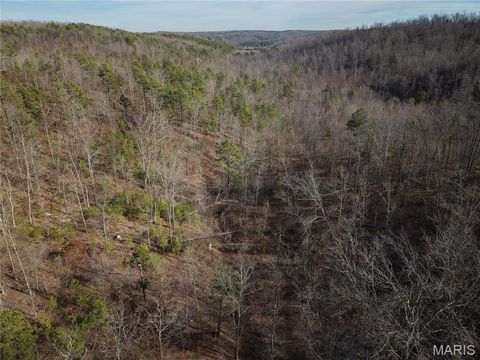 Tiny photo for 000 Bidwell Creek Road, Womack, MO 63645 (MLS # 26018697)