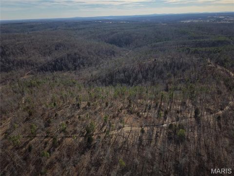 Tiny photo for 000 Bidwell Creek Road, Womack, MO 63645 (MLS # 26018697)