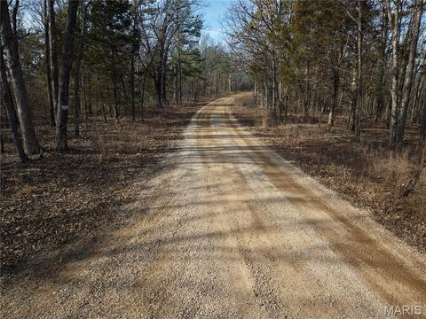 Tiny photo for 000 Bidwell Creek Road, Womack, MO 63645 (MLS # 26018697)