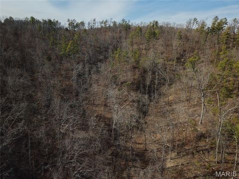 Tiny photo for 000 Bidwell Creek Road, Womack, MO 63645 (MLS # 26018697)