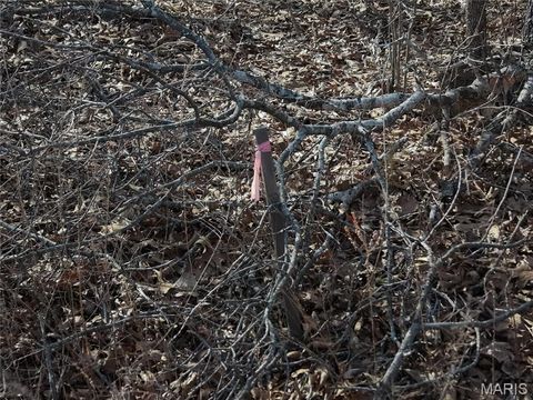 Tiny photo for 000 Bidwell Creek Road, Womack, MO 63645 (MLS # 26018697)