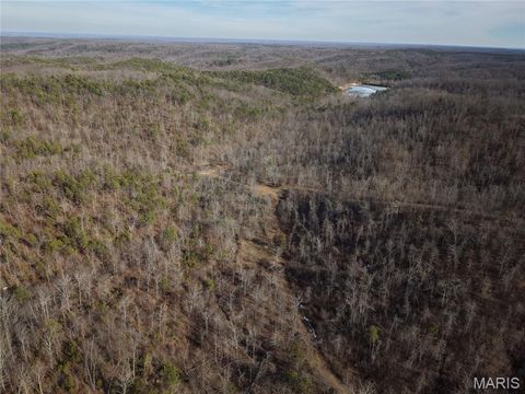Tiny photo for 000 Bidwell Creek Road, Womack, MO 63645 (MLS # 26018697)