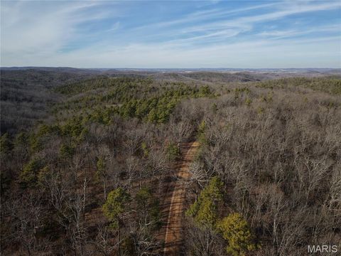 Photo of 000 Bidwell Creek Road, Womack, MO 63645 (MLS # 26018697)