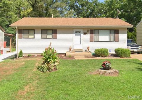 Photo of 6188 Dupree Avenue, Ferguson, MO 63135 (MLS # 26002638)