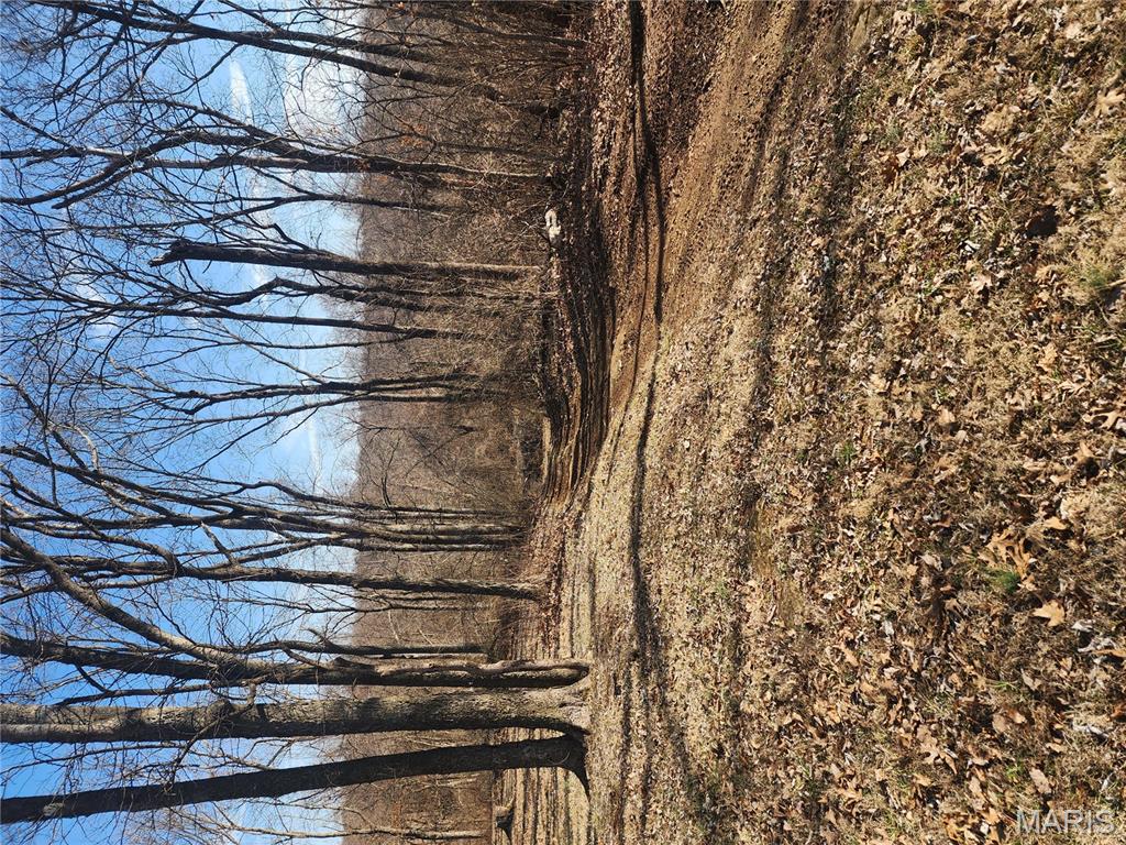 Thornbird Hills - Land