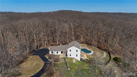 Photo of 4600 Cliff Forest Drive, Wildwood, MO 63069 (MLS # 26013290)