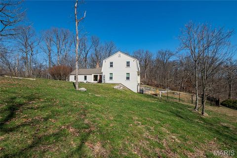 Tiny photo for 4600 Cliff Forest Drive, Wildwood, MO 63069 (MLS # 26013290)