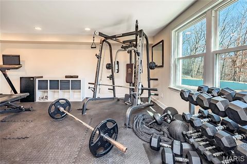 Tiny photo for 4600 Cliff Forest Drive, Wildwood, MO 63069 (MLS # 26013290)