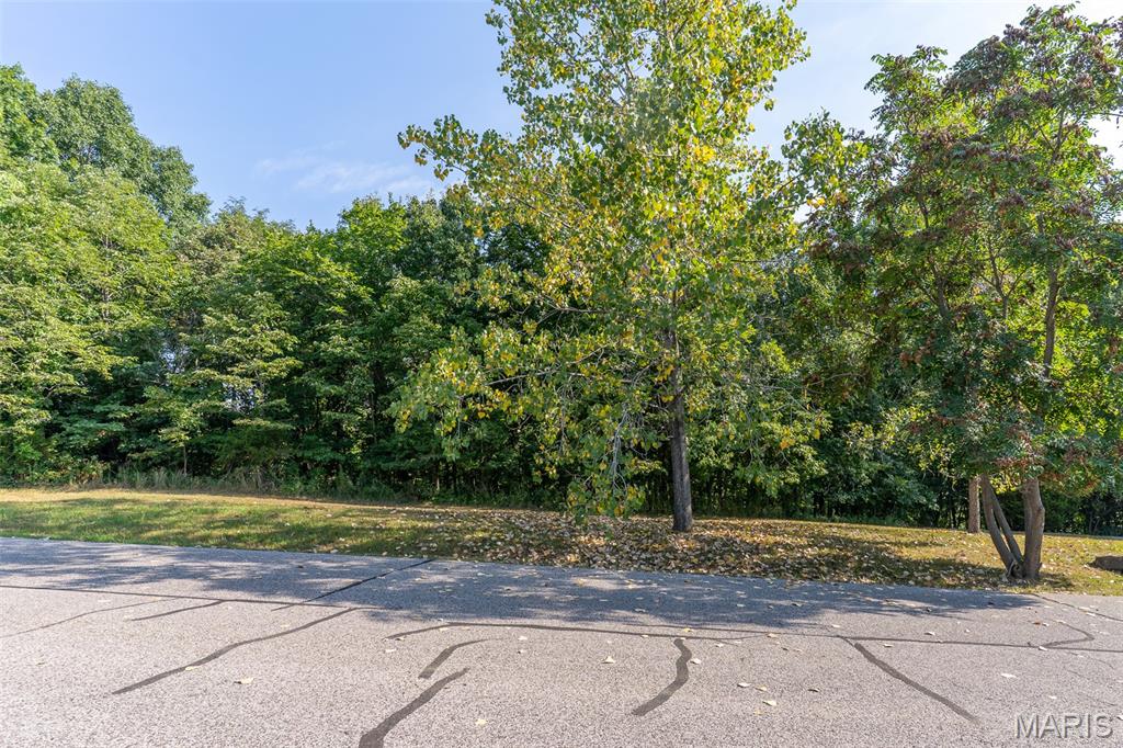 Augusta Shores #1 - Land