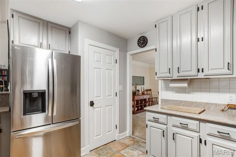 Tiny photo for 125 Swan Avenue, Kirkwood, MO 63122 (MLS # 25069022)
