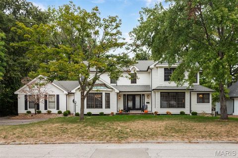 Photo of 125 Swan Avenue, Kirkwood, MO 63122 (MLS # 25069022)