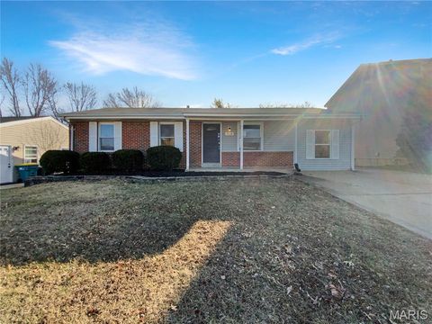 2528 Medford Drive High Ridge MO 63049