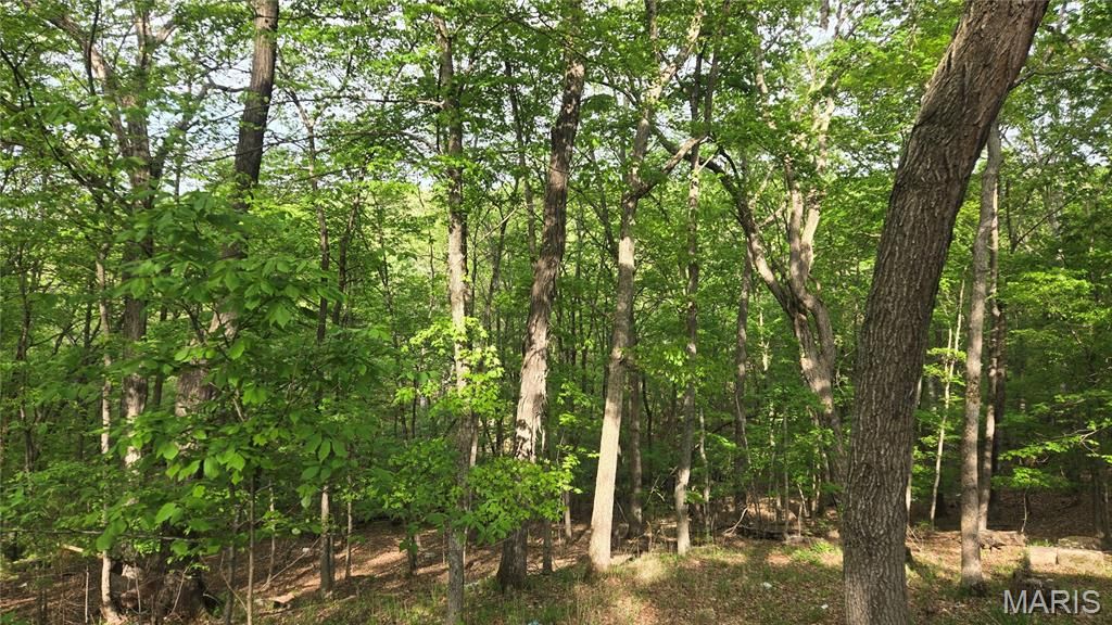 Photo of 13486 Kitt Park Drive, Ste Genevieve, MO 63670 (MLS # 26023651)