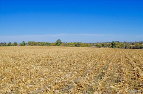 Tiny photo for 171 Windy Hill Rd, Elsberry, MO 63343 (MLS # 24067039)