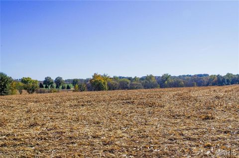 Tiny photo for 171 Windy Hill Rd, Elsberry, MO 63343 (MLS # 24067039)