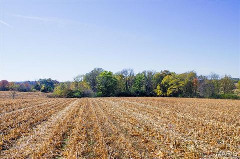 Tiny photo for 171 Windy Hill Rd, Elsberry, MO 63343 (MLS # 24067039)