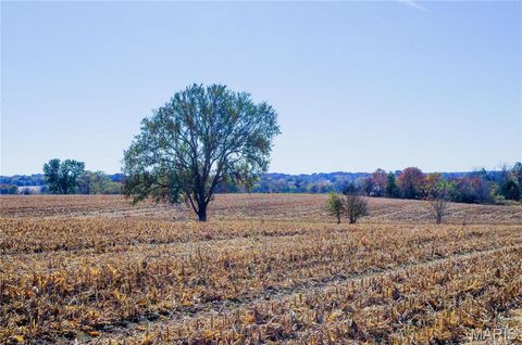 Tiny photo for 171 Windy Hill Rd, Elsberry, MO 63343 (MLS # 24067039)