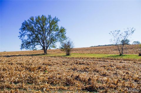 Tiny photo for 171 Windy Hill Rd, Elsberry, MO 63343 (MLS # 24067039)
