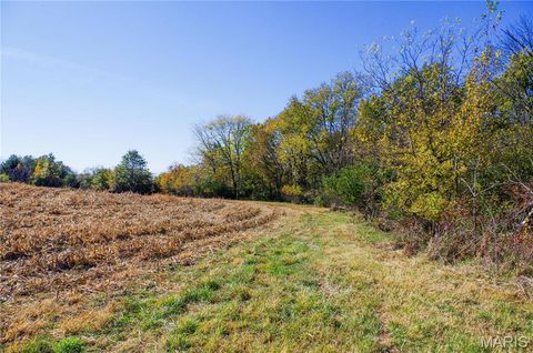 Tiny photo for 171 Windy Hill Rd, Elsberry, MO 63343 (MLS # 24067039)