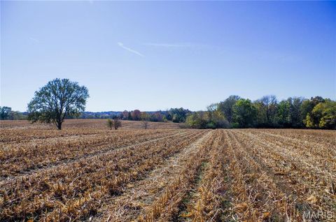 Photo of 171 Windy Hill Rd, Elsberry, MO 63343 (MLS # 24067039)