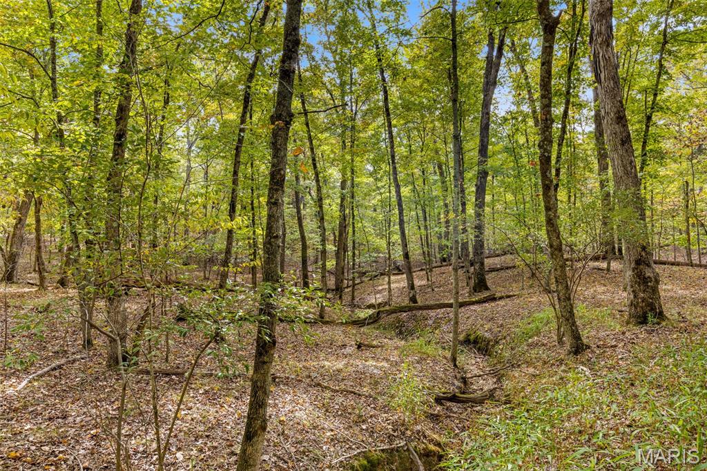 2142 Meadow Valley Drive