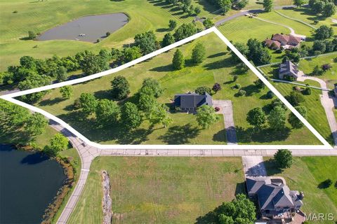 Photo of 141 Ashley Drive, Cape Girardeau, MO 63701 (MLS # 26030739)