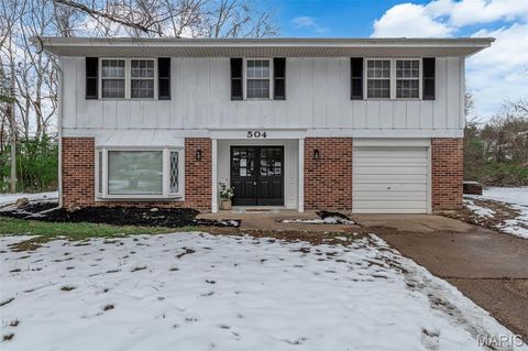 Photo of 504 Thornlea Court, Ballwin, MO 63011 (MLS # 25079716)
