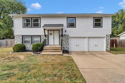 6 Green Valley Drive St Peters MO 63376