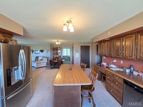 Tiny photo for 18749 225th Street, Lewistown, MO 63452 (MLS # 26030736)