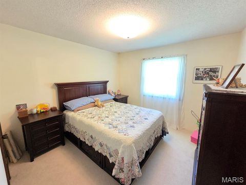 Tiny photo for 18749 225th Street, Lewistown, MO 63452 (MLS # 26030736)