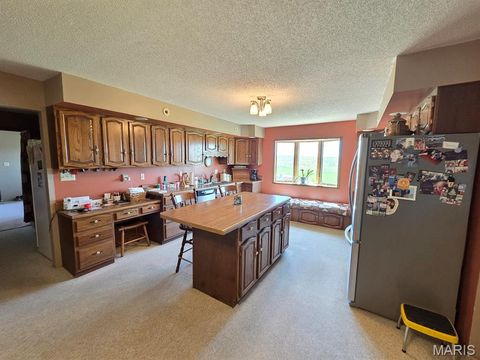 Tiny photo for 18749 225th Street, Lewistown, MO 63452 (MLS # 26030736)