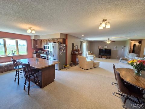 Tiny photo for 18749 225th Street, Lewistown, MO 63452 (MLS # 26030736)